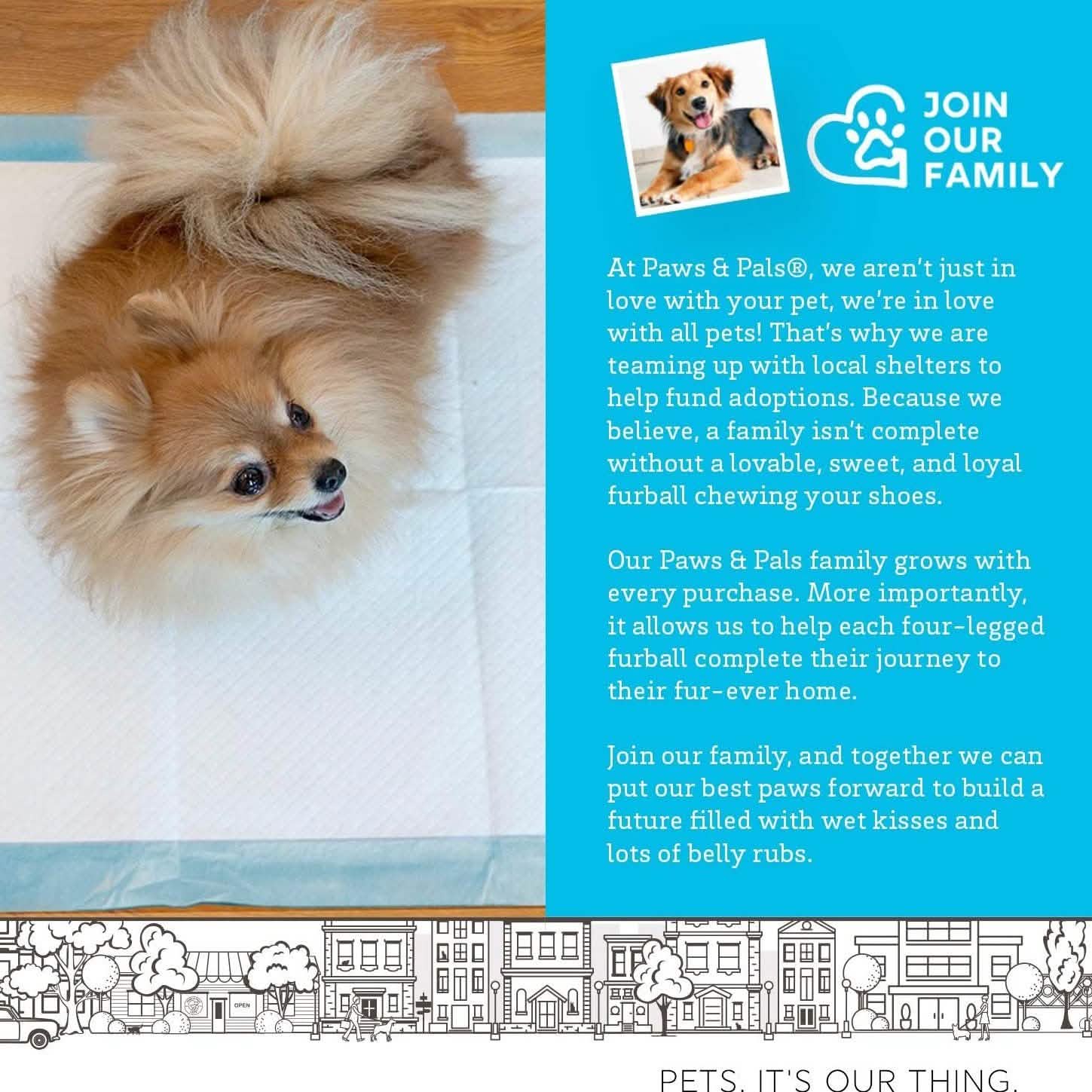 Large Leak-Proof Pet Pee Pads, 22" x 22", Pack of 150