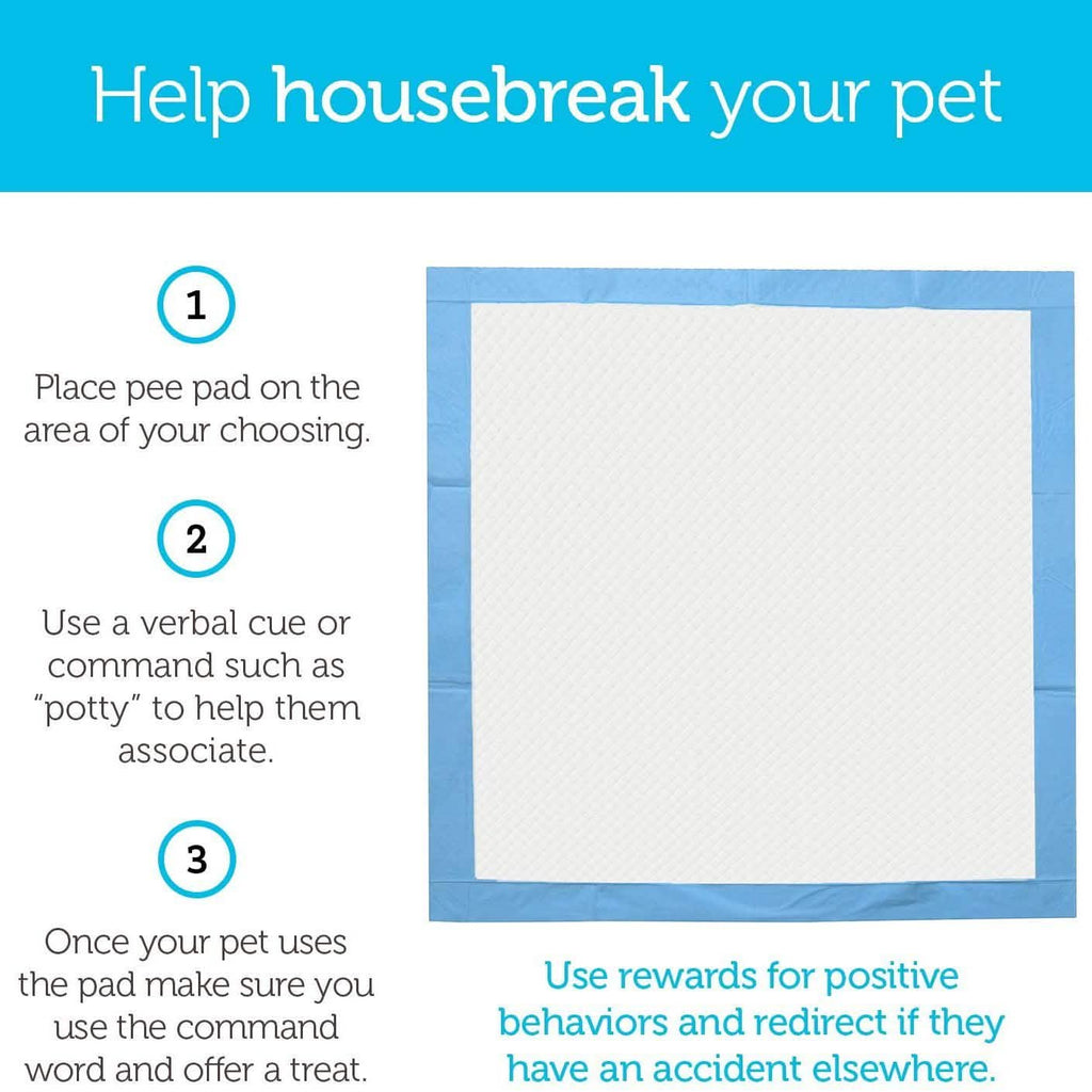 Large Leak-Proof Pet Pee Pads, 22" x 22", Pack of 150