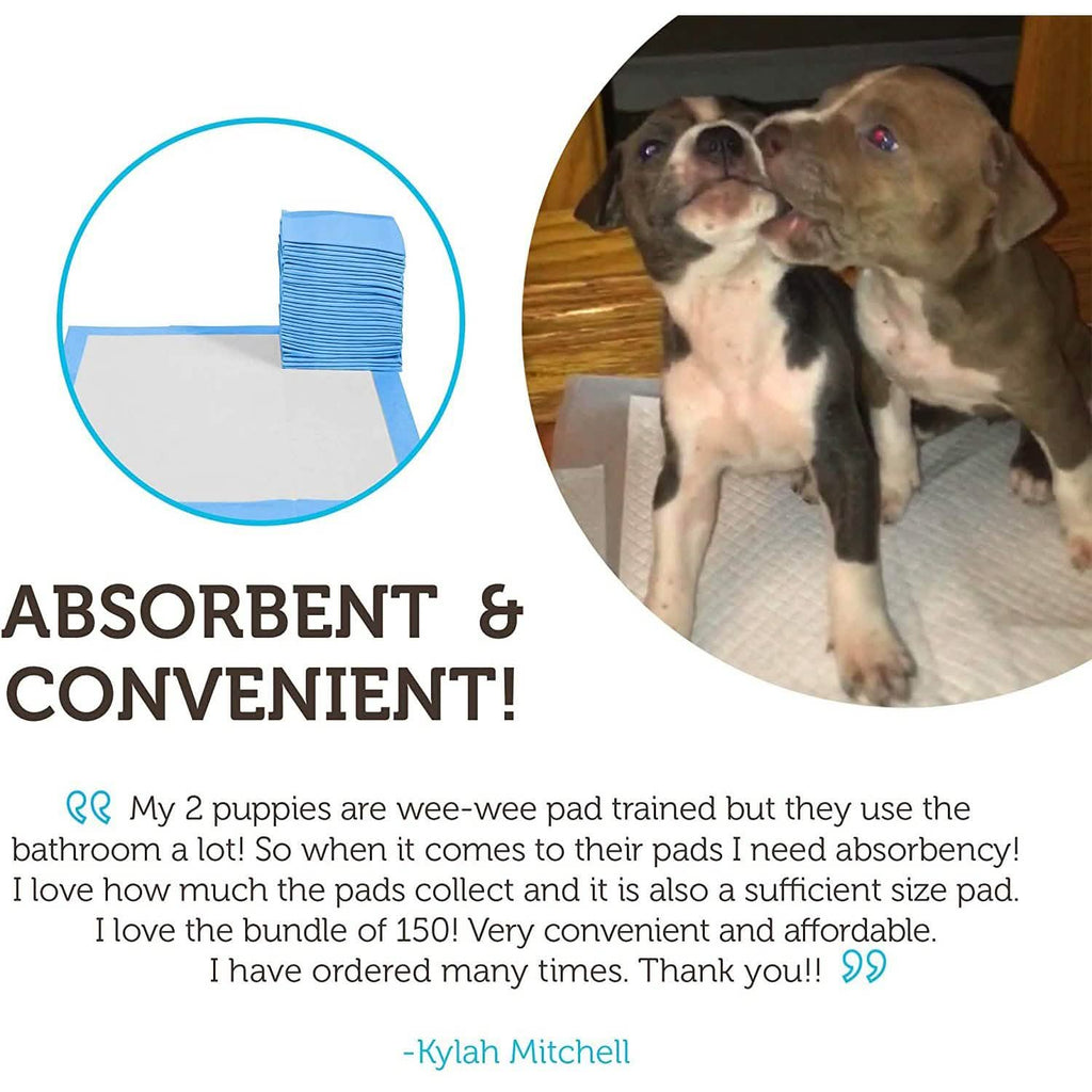 Large Leak-Proof Pet Pee Pads, 22" x 22", Pack of 150
