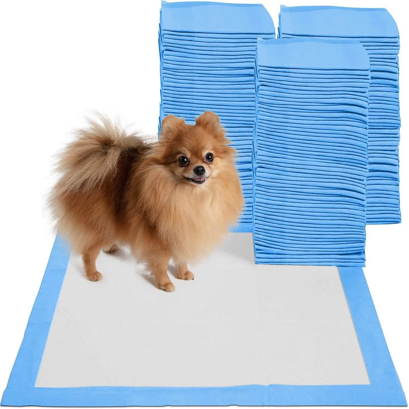 Large Leak-Proof Pet Pee Pads, 22" x 22", Pack of 150