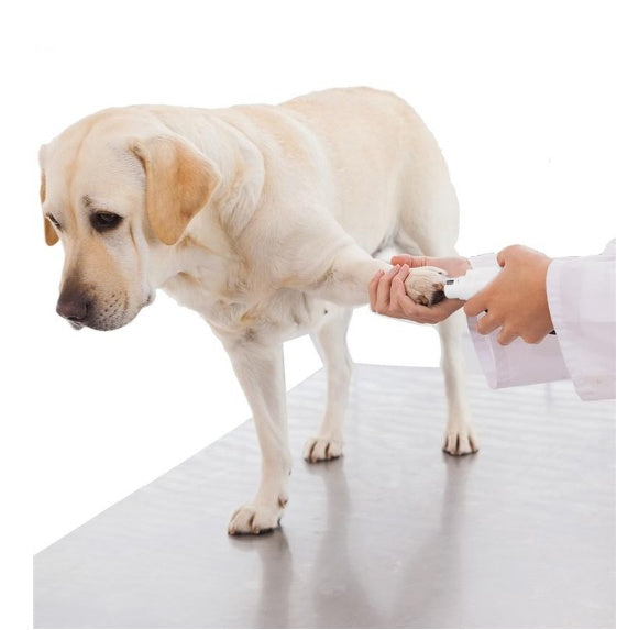 Electric Pet Nail Grinder with Low Noise, USB Rechargeable, 250g