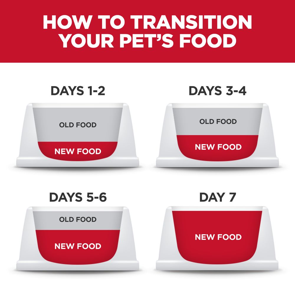 Dry Dog Food for Small Dogs with Sensitive Stomachs and Skin