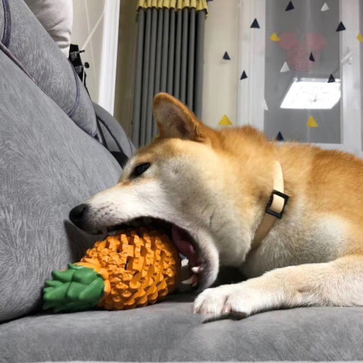 Rubber Dog Chew Toy in Fruit Shapes, Multiple Sizes