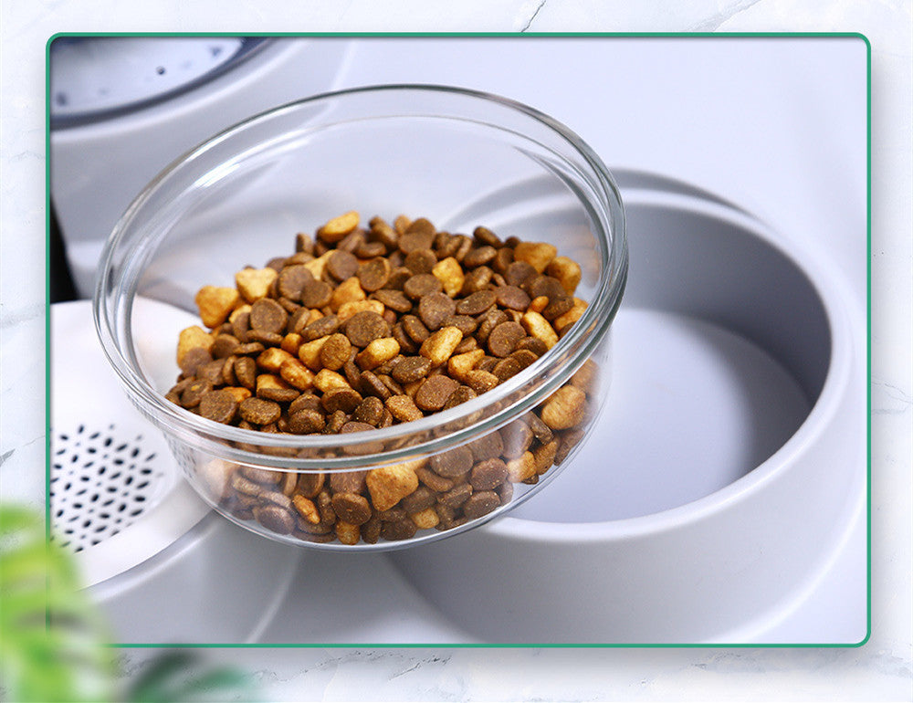 Dual Pet Feeding and Water Bowl Set – Multiple Colors and Styles