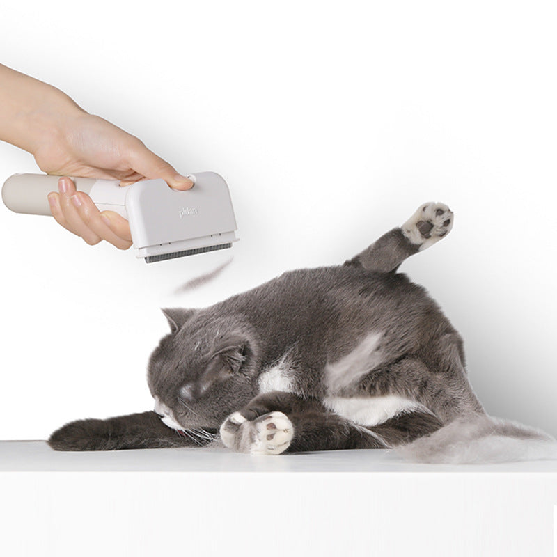 Reusable Pet Hair Remover for Furniture and Clothing