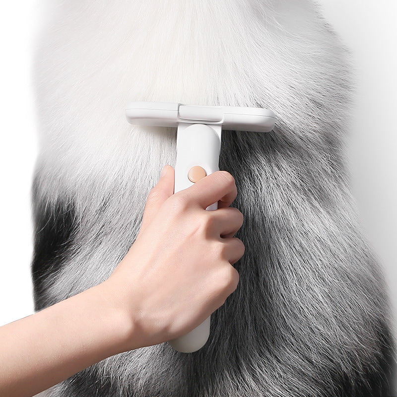 Reusable Pet Hair Remover for Furniture and Clothing