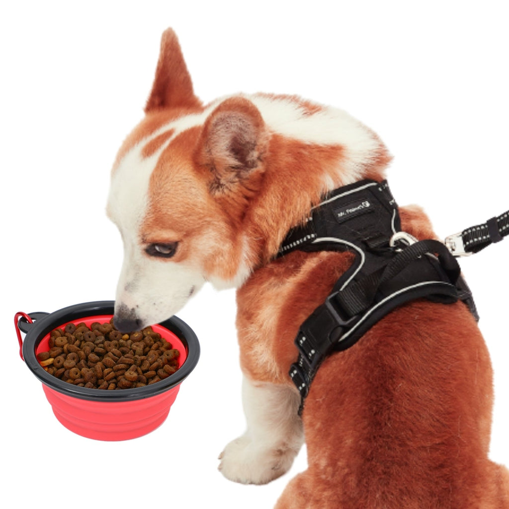 Mr. Peanut's Collapsible Silicone Pet Travel Bowls - 12oz