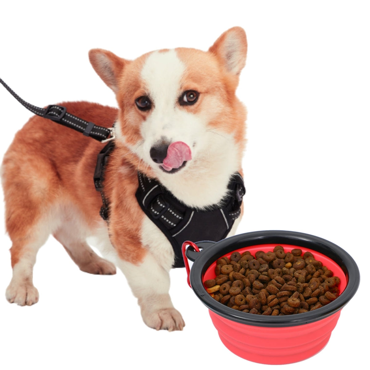 Mr. Peanut's Collapsible Silicone Pet Travel Bowls - 12oz