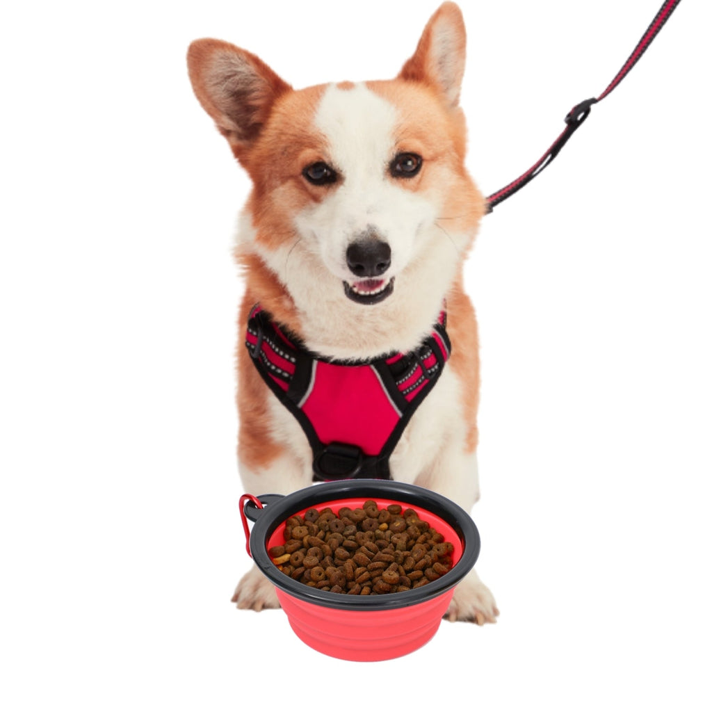 Mr. Peanut's Collapsible Silicone Pet Travel Bowls - 12oz