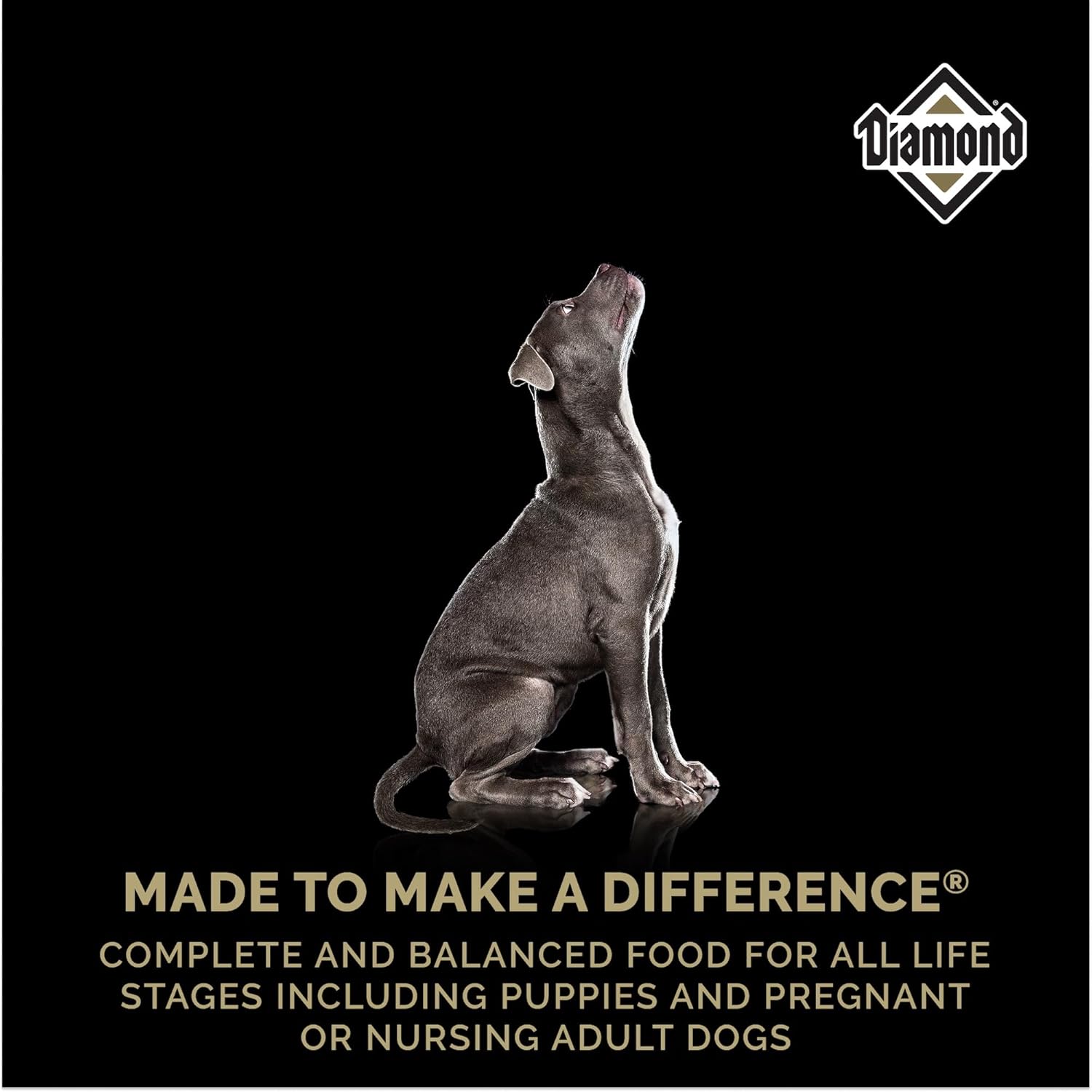 Puppy Food with DHA, Probiotics, and Omega Fatty Acids