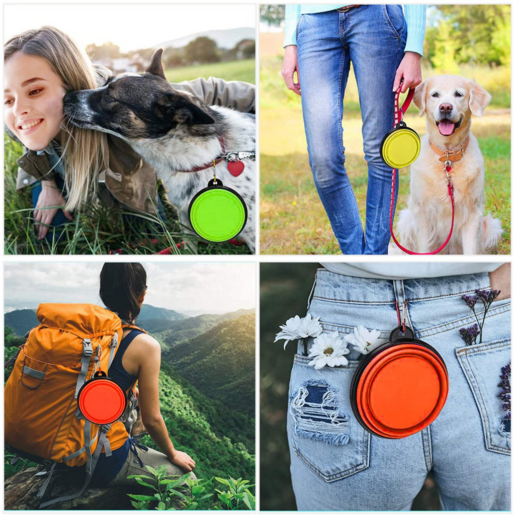 Collapsible Silicone Dog Bowls Set of 4 with Carabiners