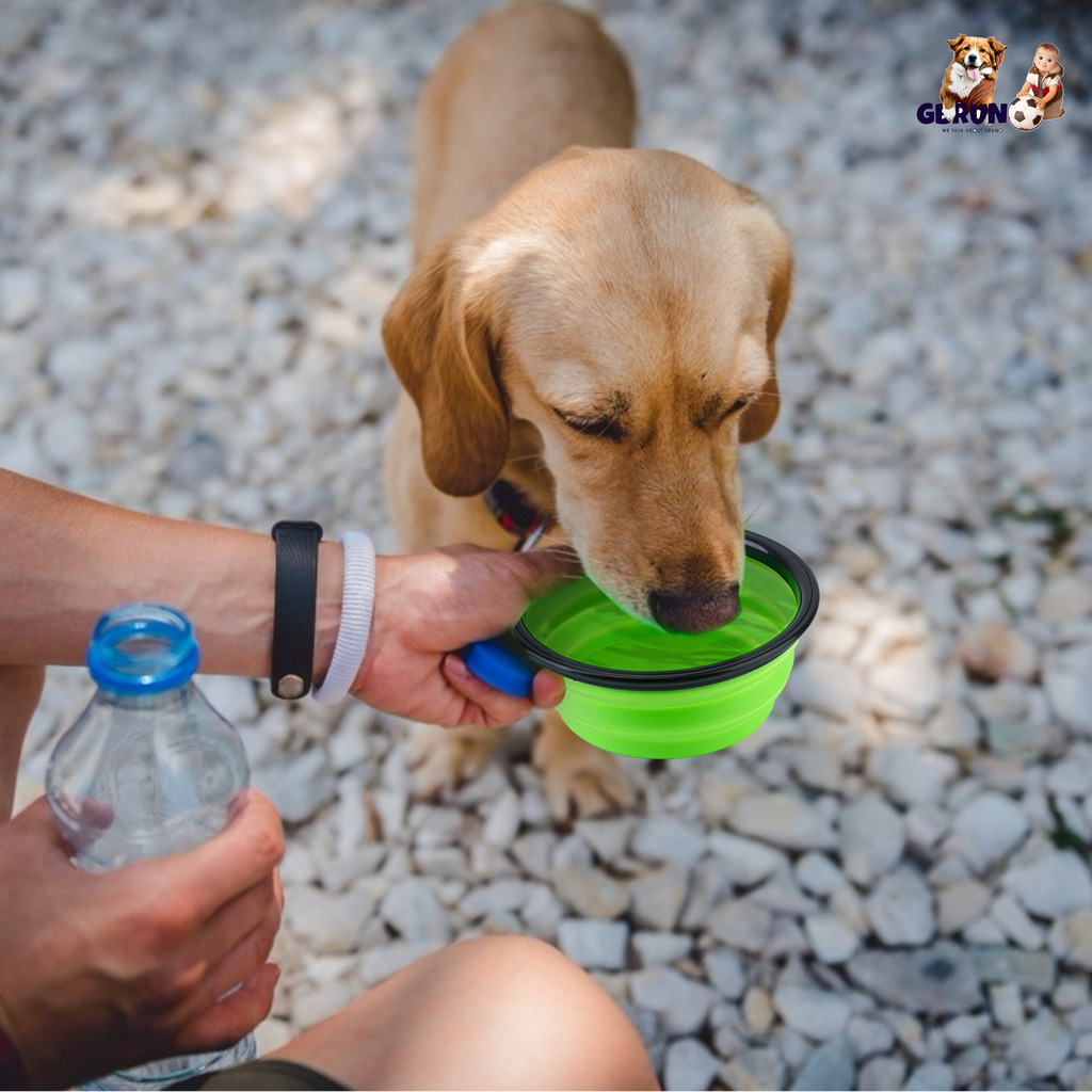 Collapsible Silicone Dog Bowls Set of 4 with Carabiners
