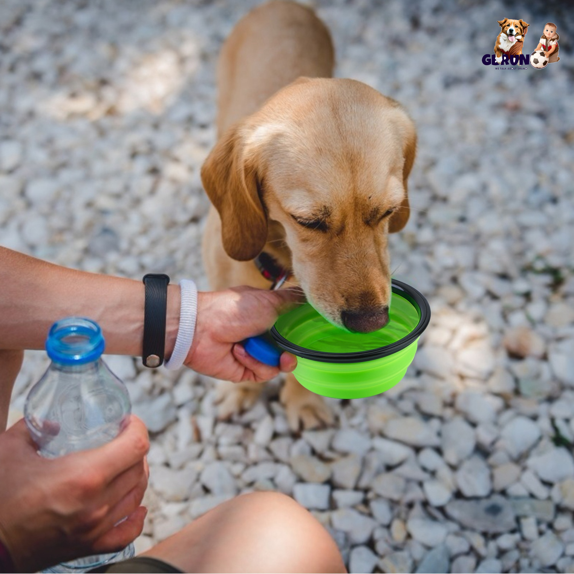 Collapsible Silicone Dog Bowls Set of 4 with Carabiners