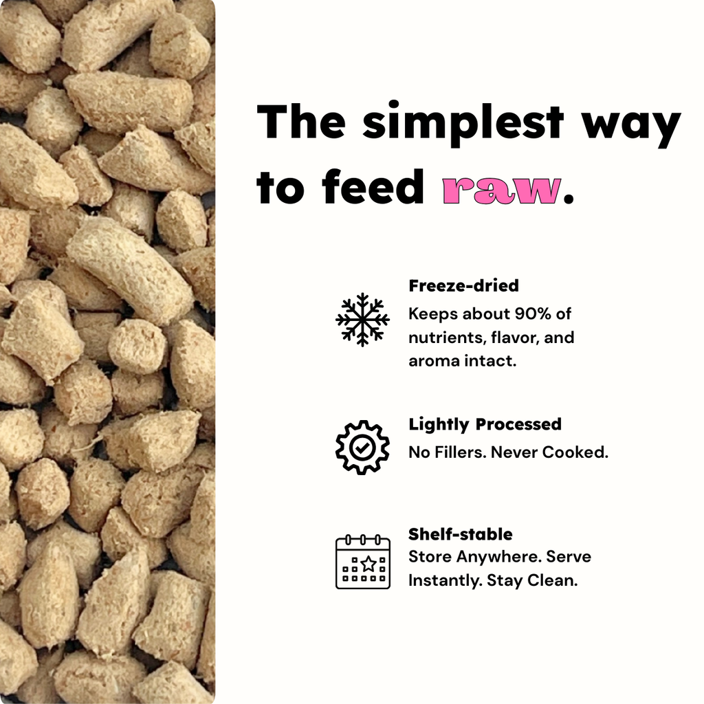 Balanced Bowls Freeze-Dried Chicken & Salmon Dog Food