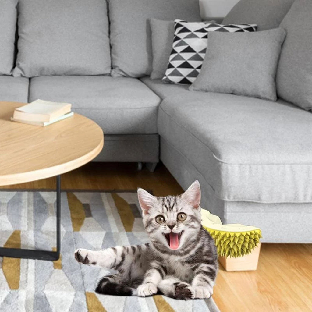 Avocado Catnip Ball & Durian Cat Brush Set for Cats