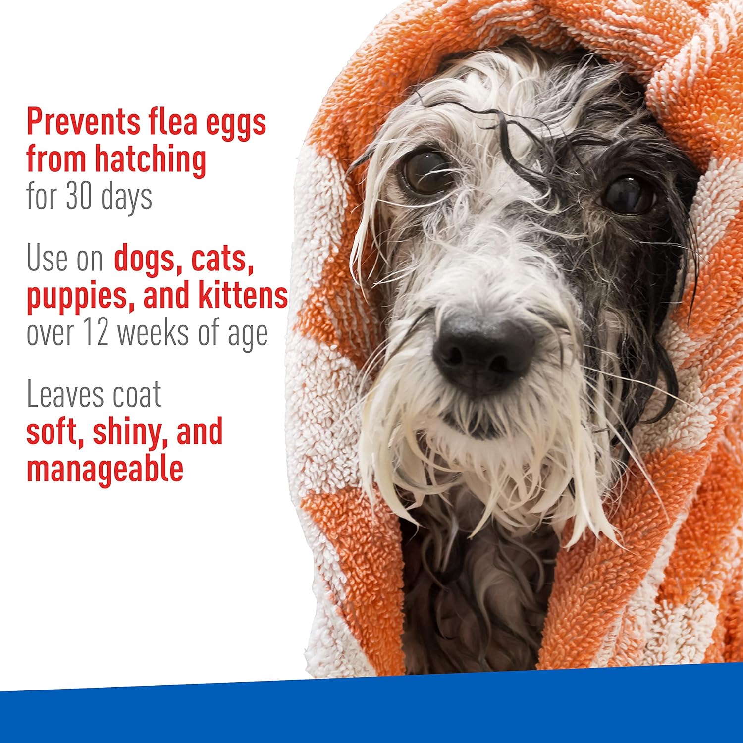 At-Home Parasite Care Kit for Dogs with Dewormer, Flea Shampoo & Toy