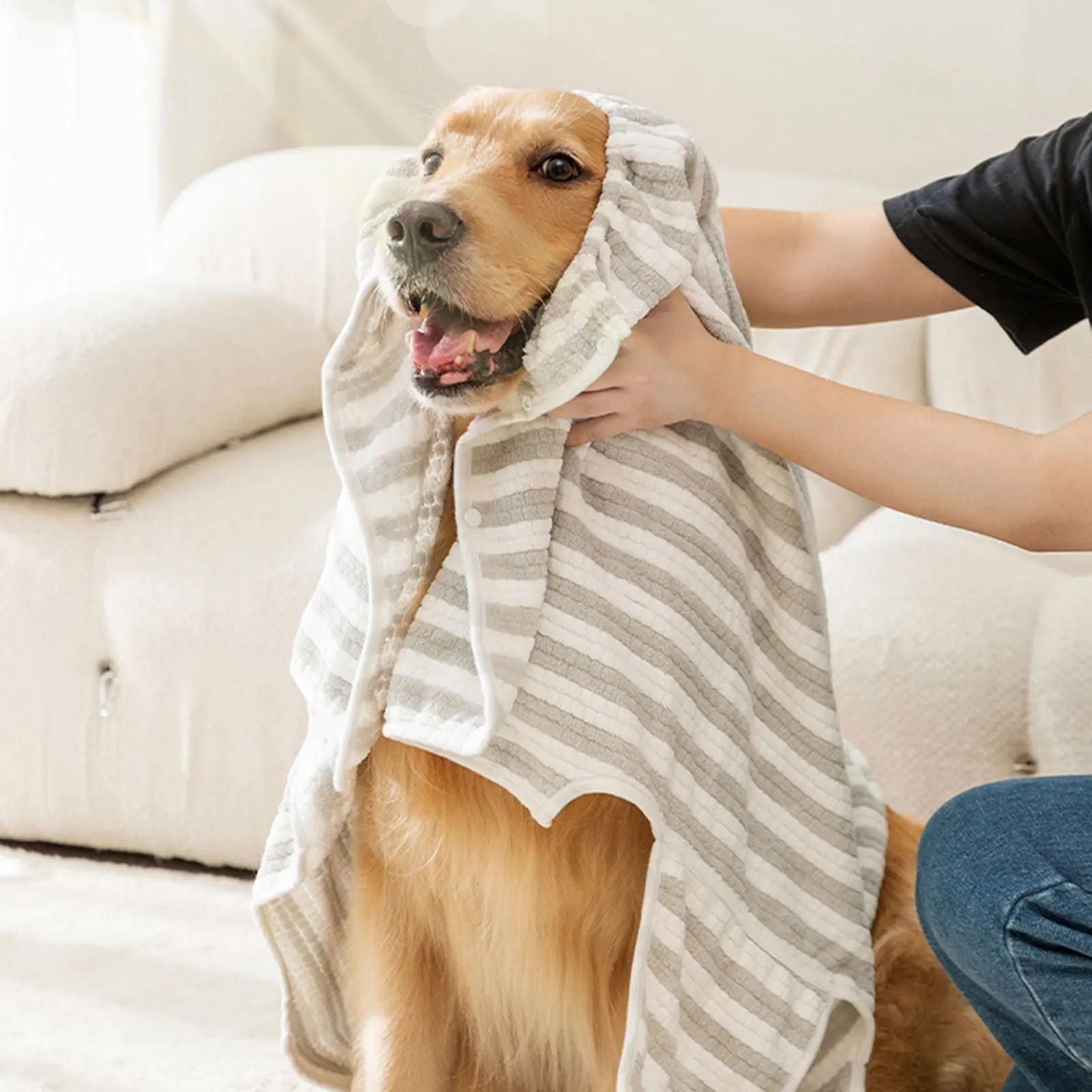 Spacious Dog Bed for All Sizes – Four Size Options