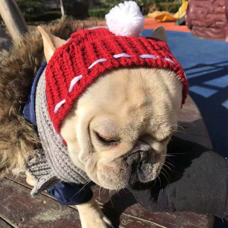 Cotton Winter Hat for Female Dogs – Solid Colors