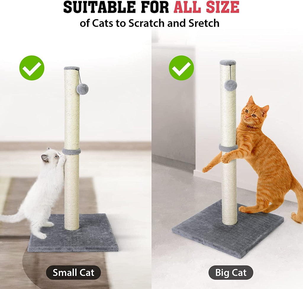 31" Cat Scratching Post with Plush Base and Natural Sisal