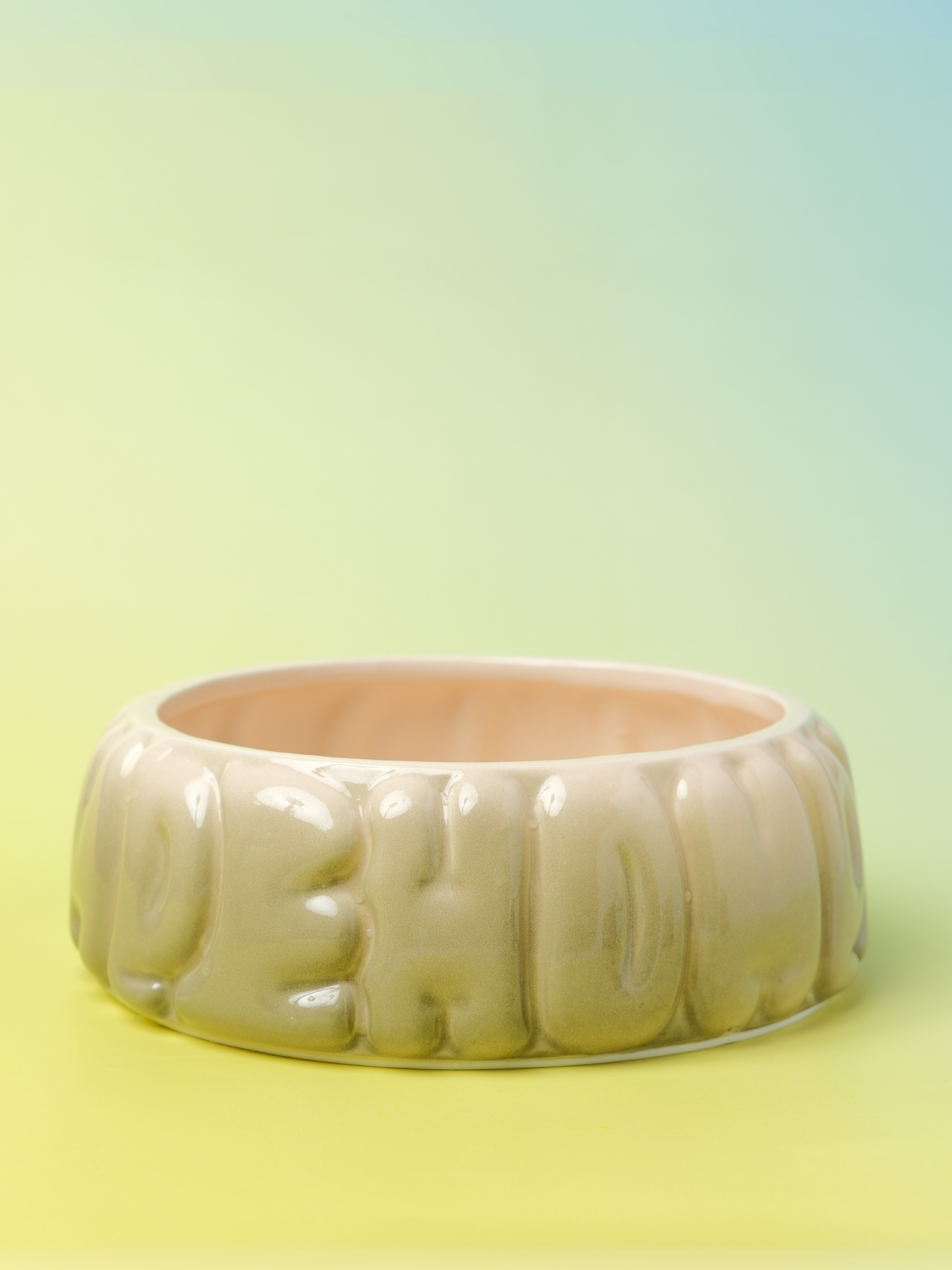 Ceramic Pet Bowl with Spill-Proof Rim, Olive Gradient, 25.4 fl oz