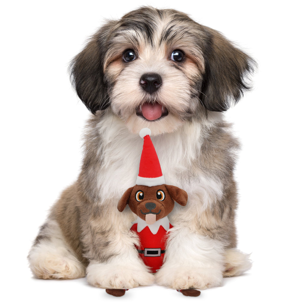 Pooch on a Perch Elf Dog Toy with Squeaker and Crinkle Paper