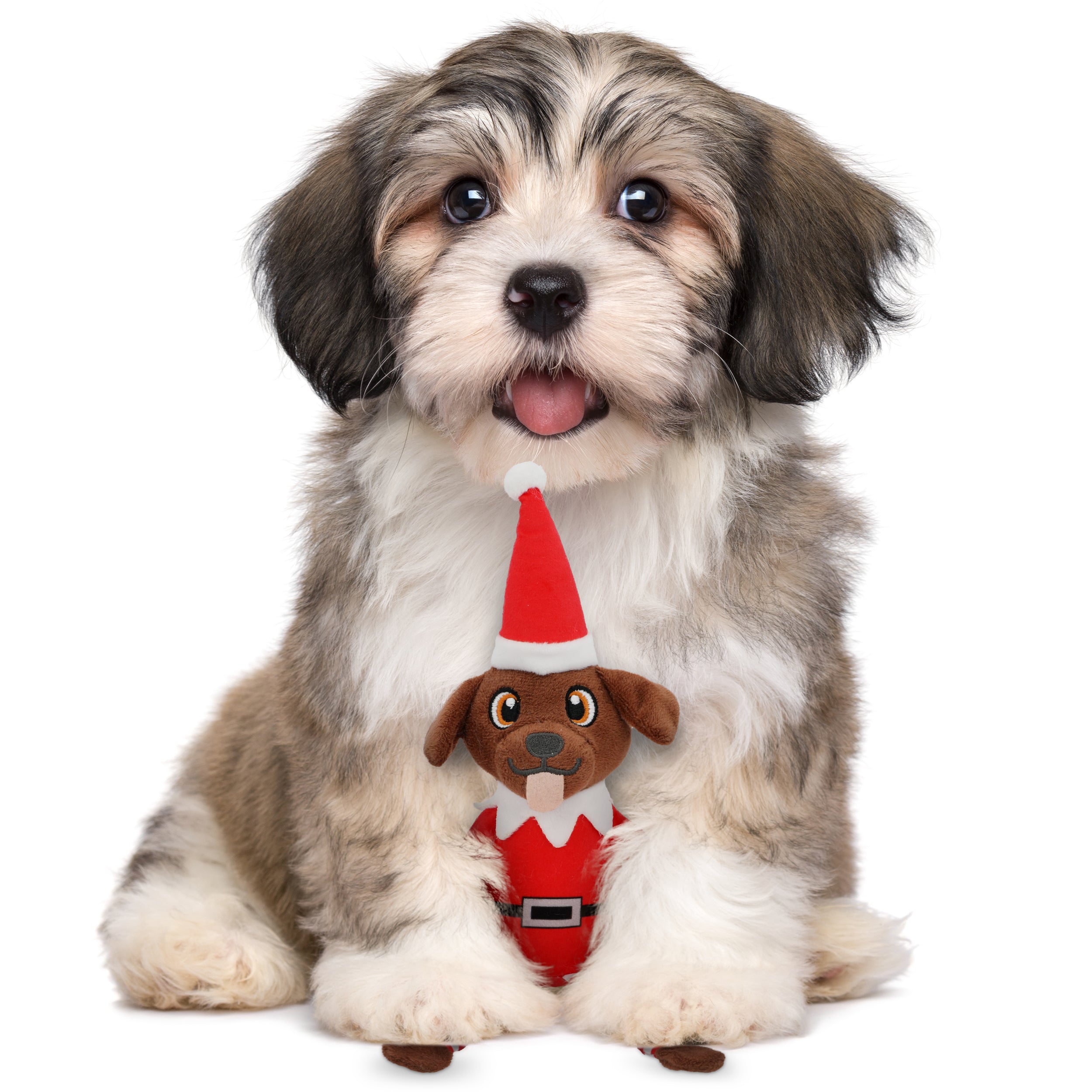 Pooch on a Perch Elf Dog Toy with Squeaker and Crinkle Paper
