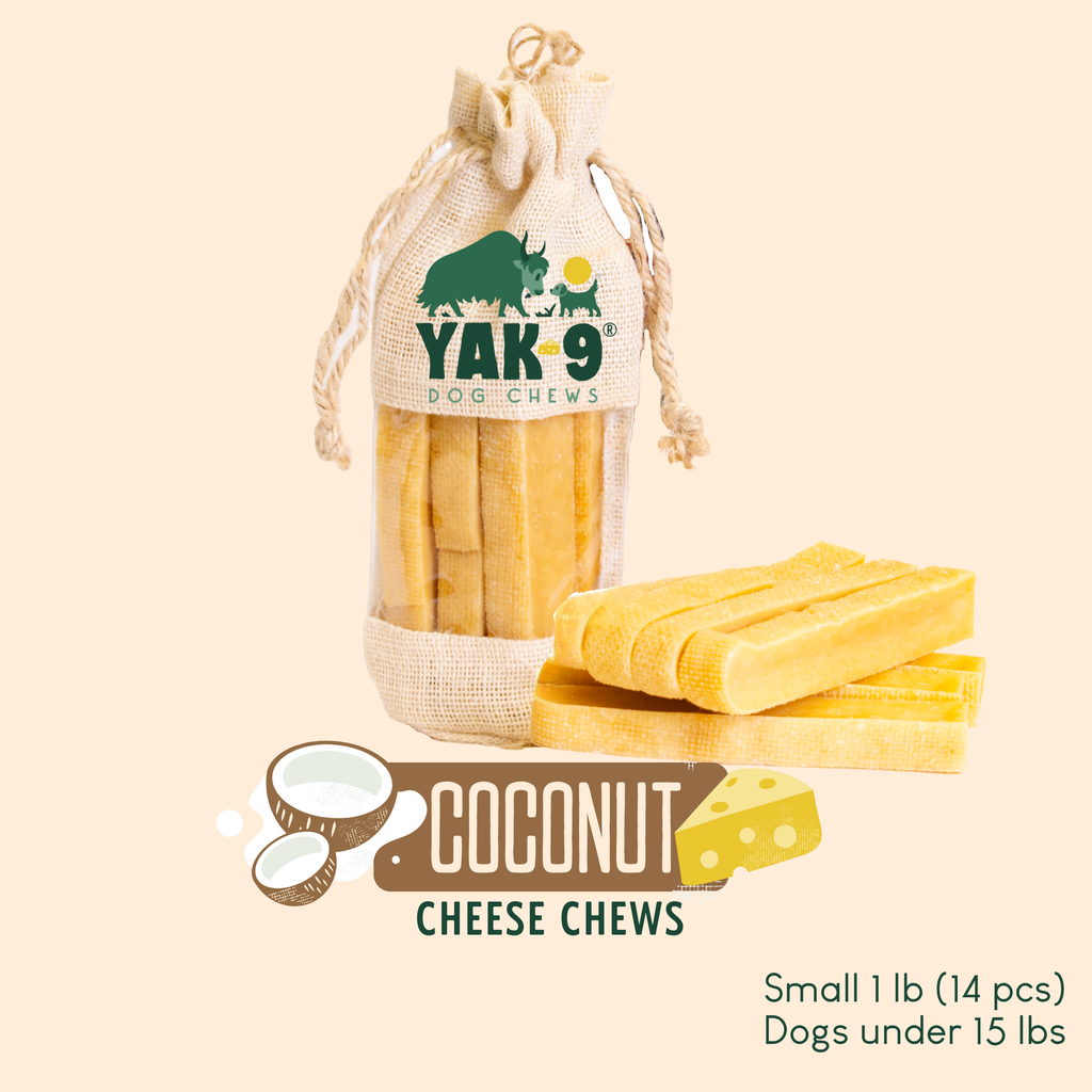 Coconut Cheese Dog Chews with Yak and Cow Milk