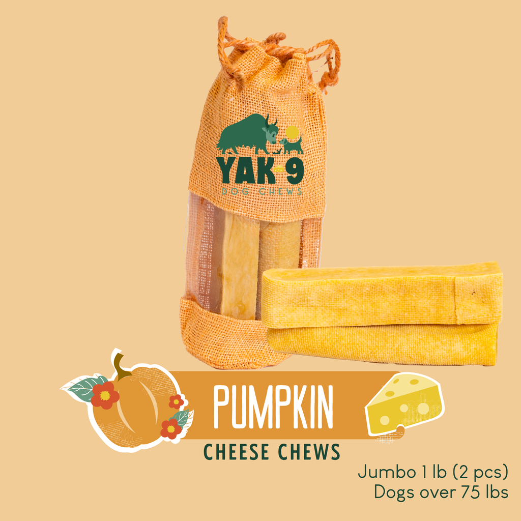 Pumpkin Yak Cheese Dog Chews with Organic Pumpkin