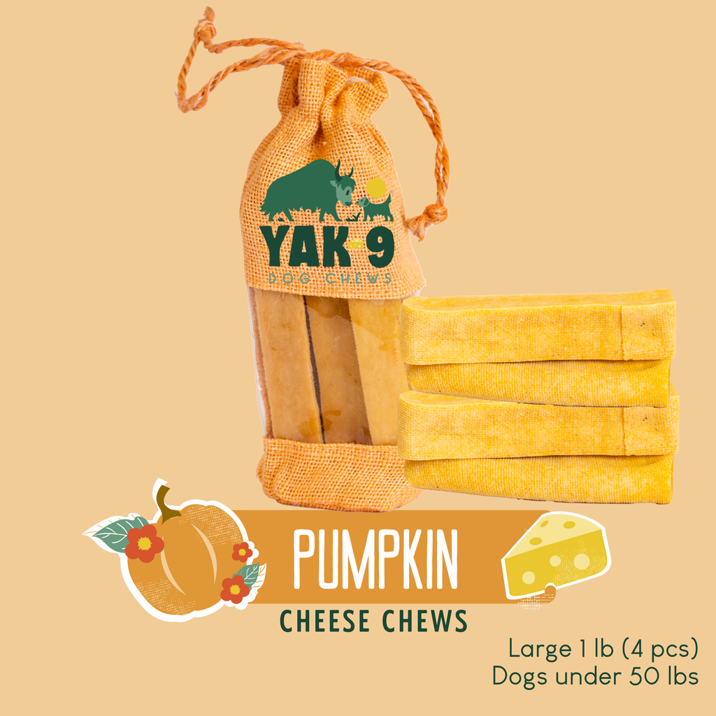 Pumpkin Yak Cheese Dog Chews with Organic Pumpkin