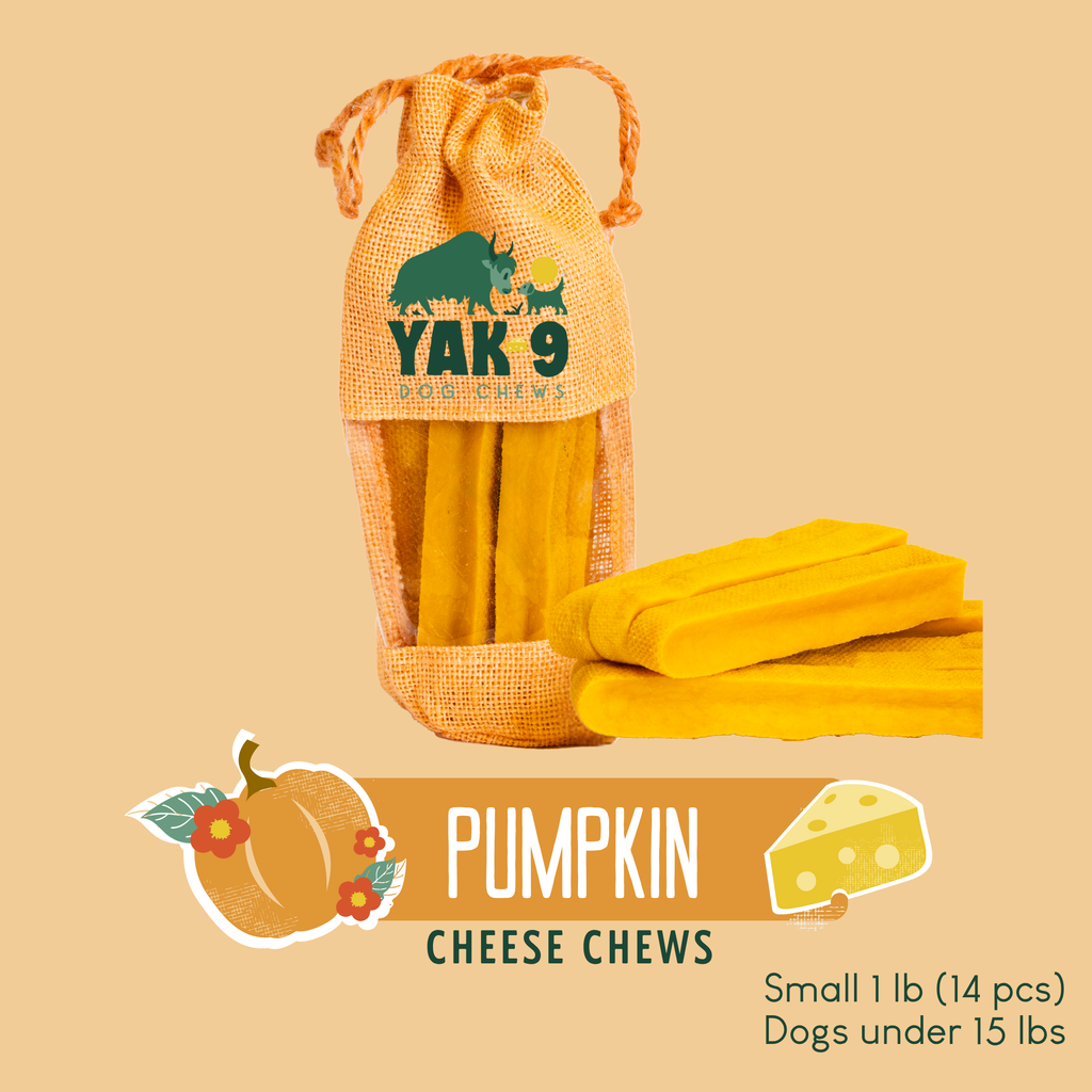 Pumpkin Yak Cheese Dog Chews with Organic Pumpkin