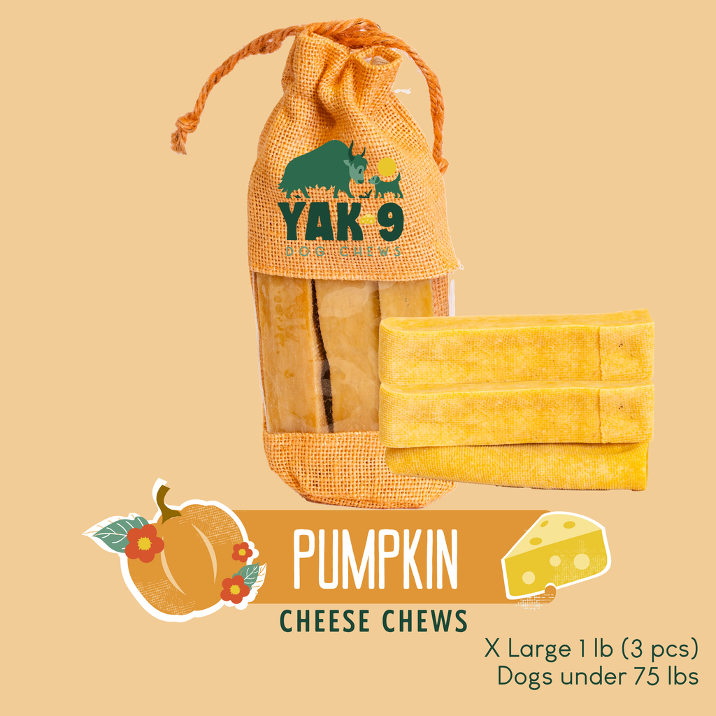 Pumpkin Yak Cheese Dog Chews with Organic Pumpkin