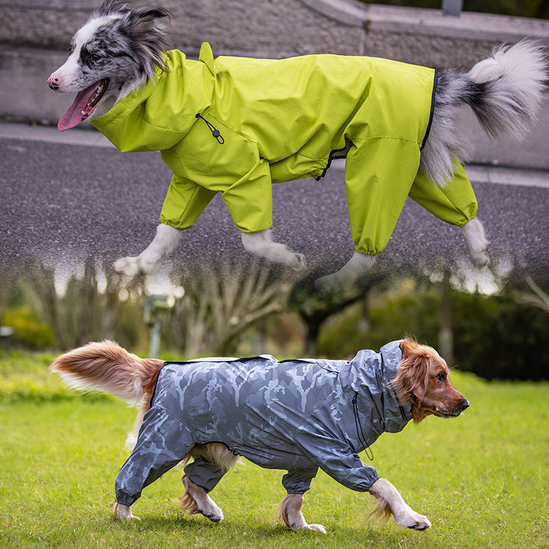 Sporty Four-Leg Dog Outfit in Silver or Emerald Green, Polyester