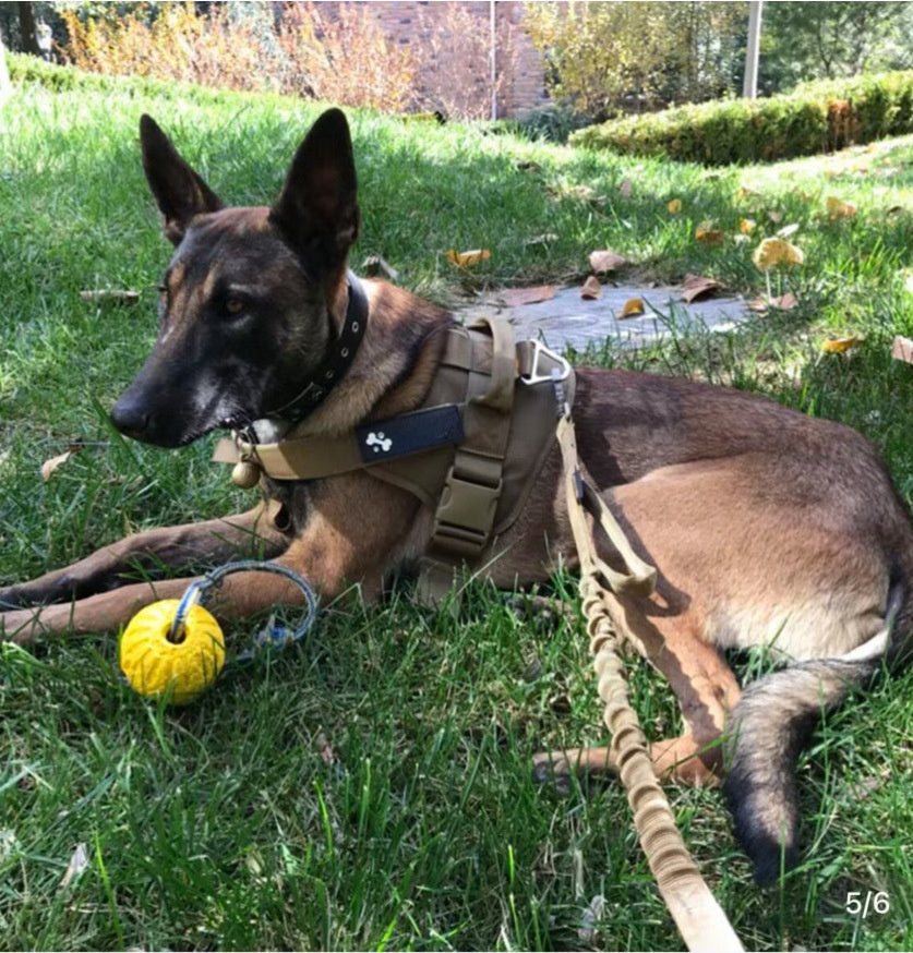 Tactical Dog Leash for Medium and Large Dogs, Adjustable Nylon