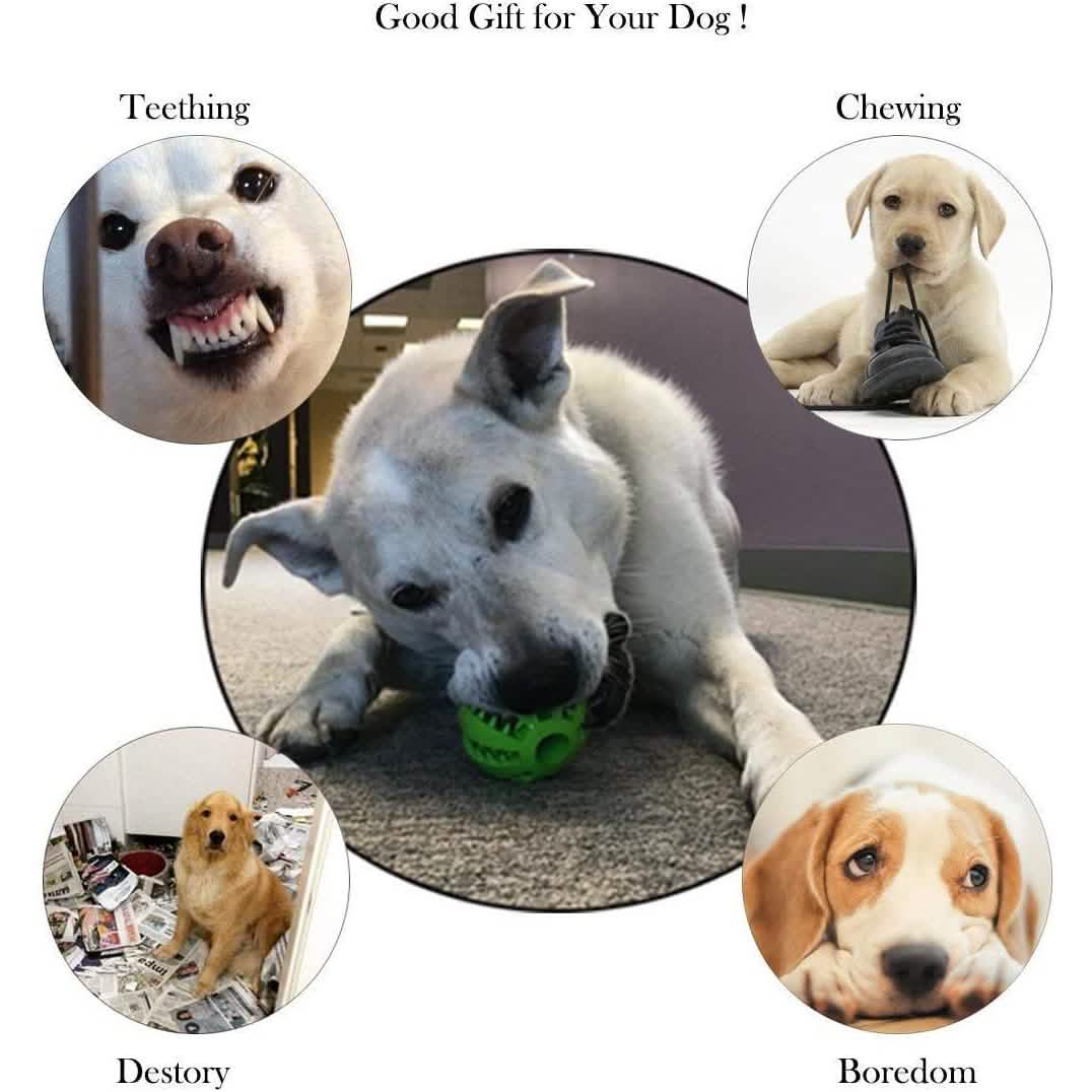 Dog Teething Toy Balls 2-Pack for Puppies and Small Dogs, 1.8"