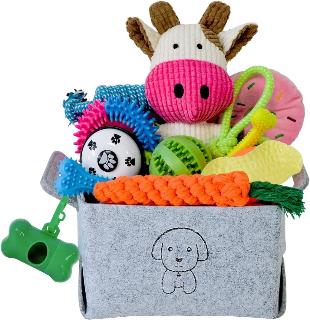Puppy Teething and Chew Toy Set with Storage Basket, 20 Pieces