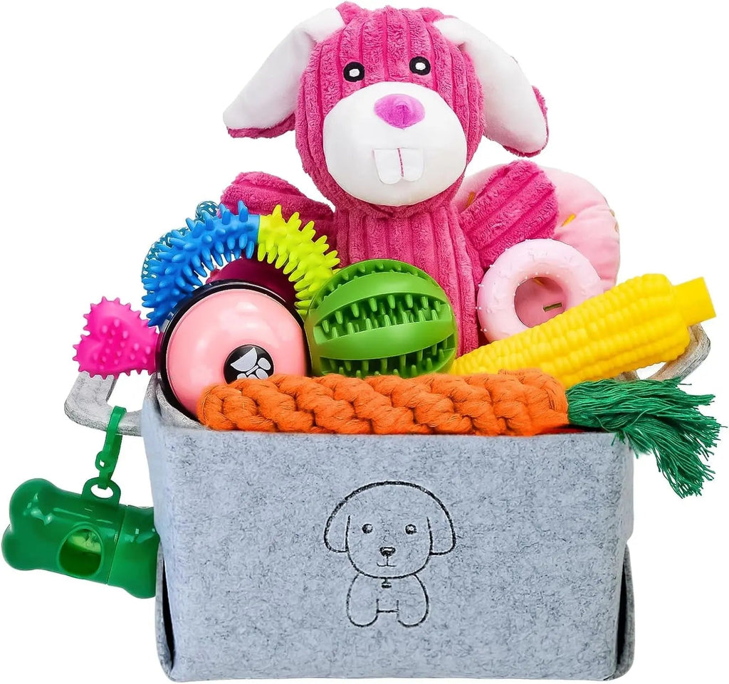 Puppy Teething and Chew Toy Set with Storage Basket, 20 Pieces