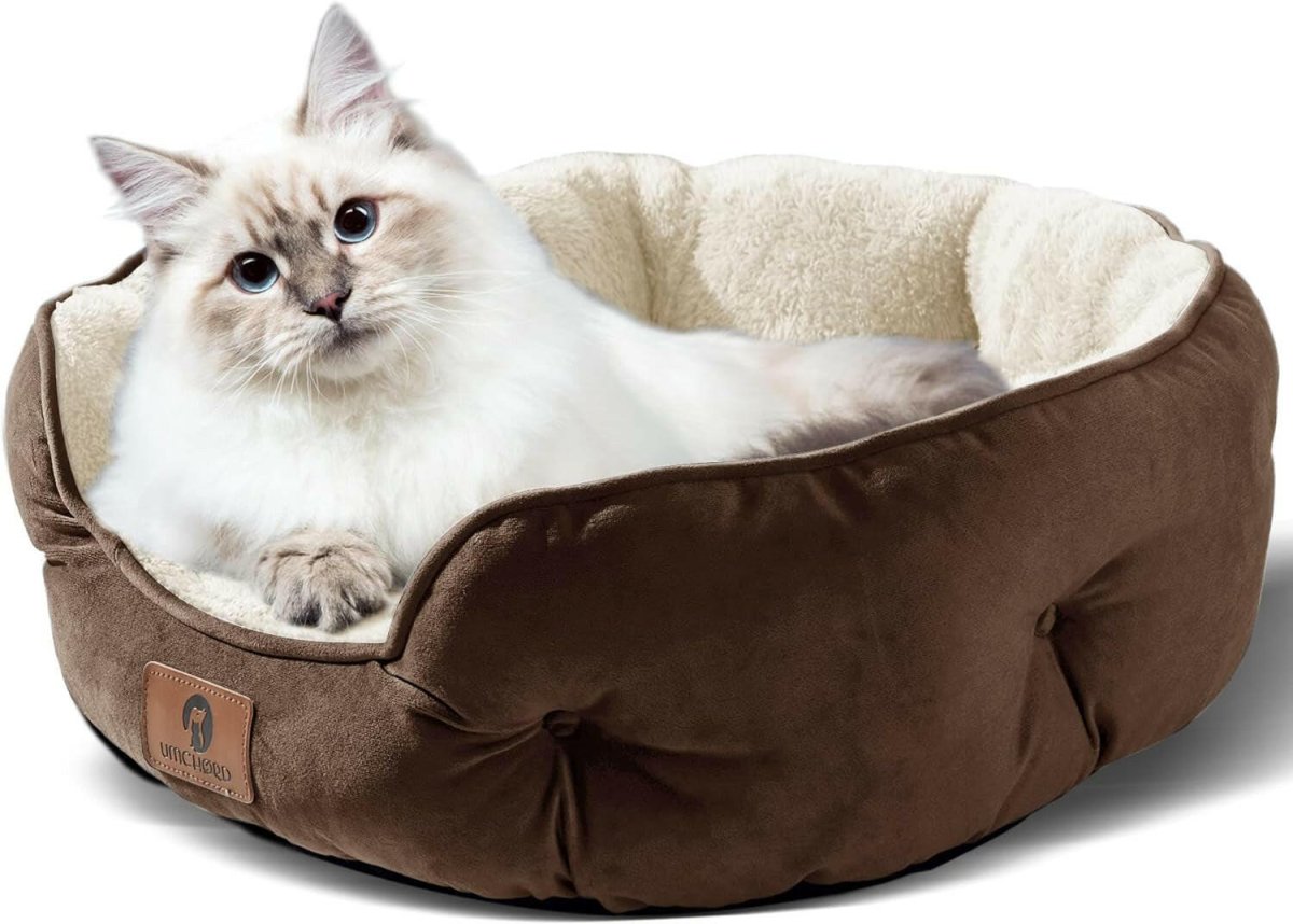 20-Inch Pet Bed: Perfect for Puppies & Kittens