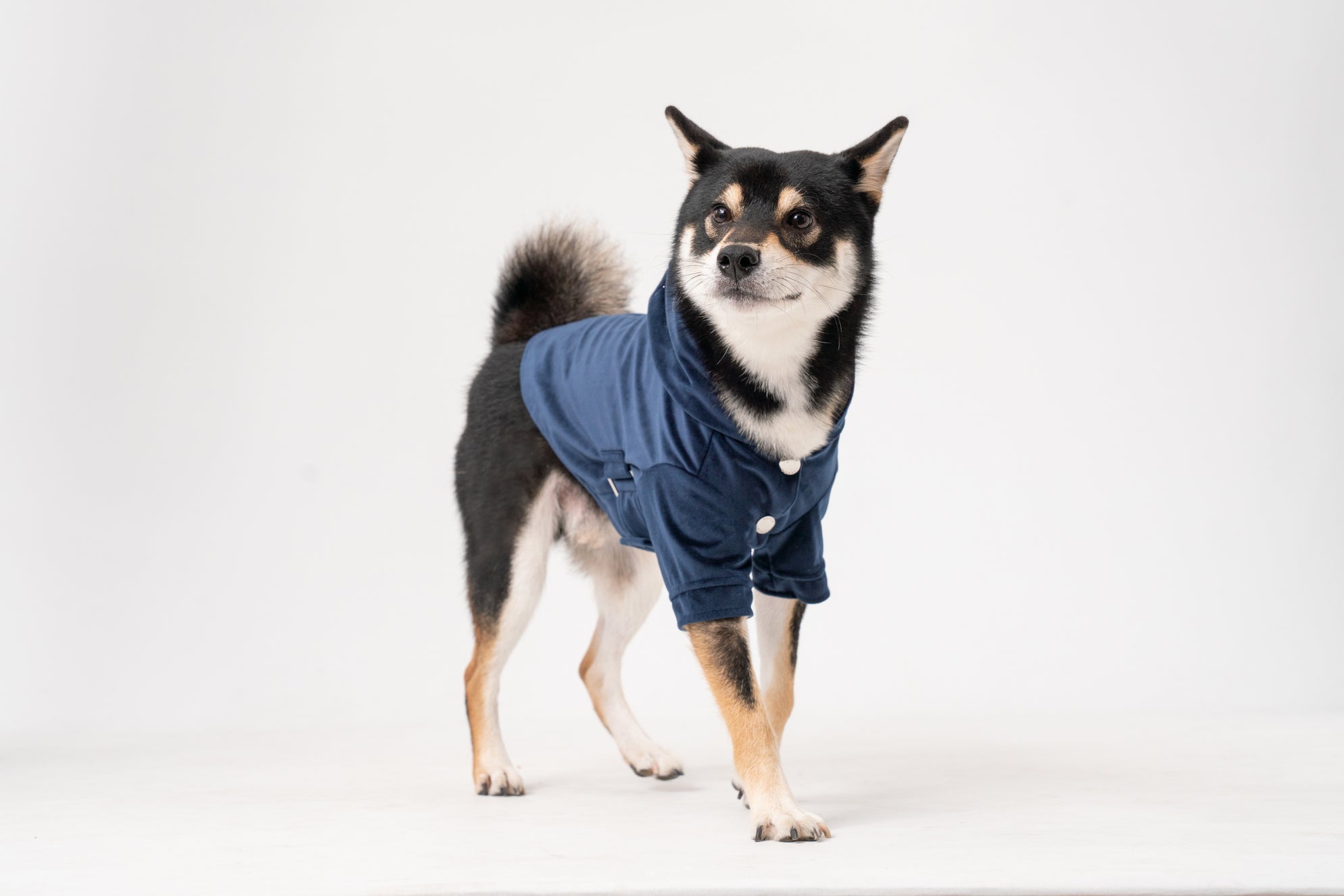 Flannel Pet Jacket with Adjustable Fit – Dark Burgundy or Midnight Blue