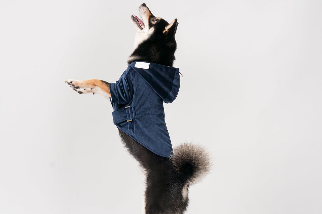Flannel Pet Jacket with Adjustable Fit – Dark Burgundy or Midnight Blue