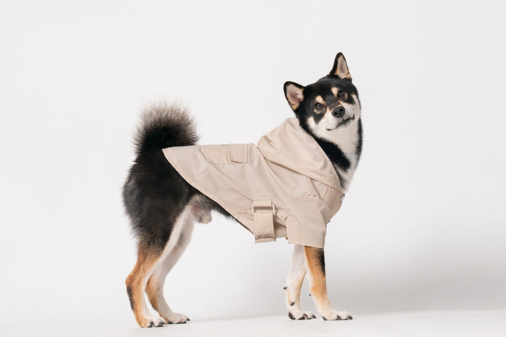Water-Repellent Dog Jacket with Adjustable Belt and Back Pocket