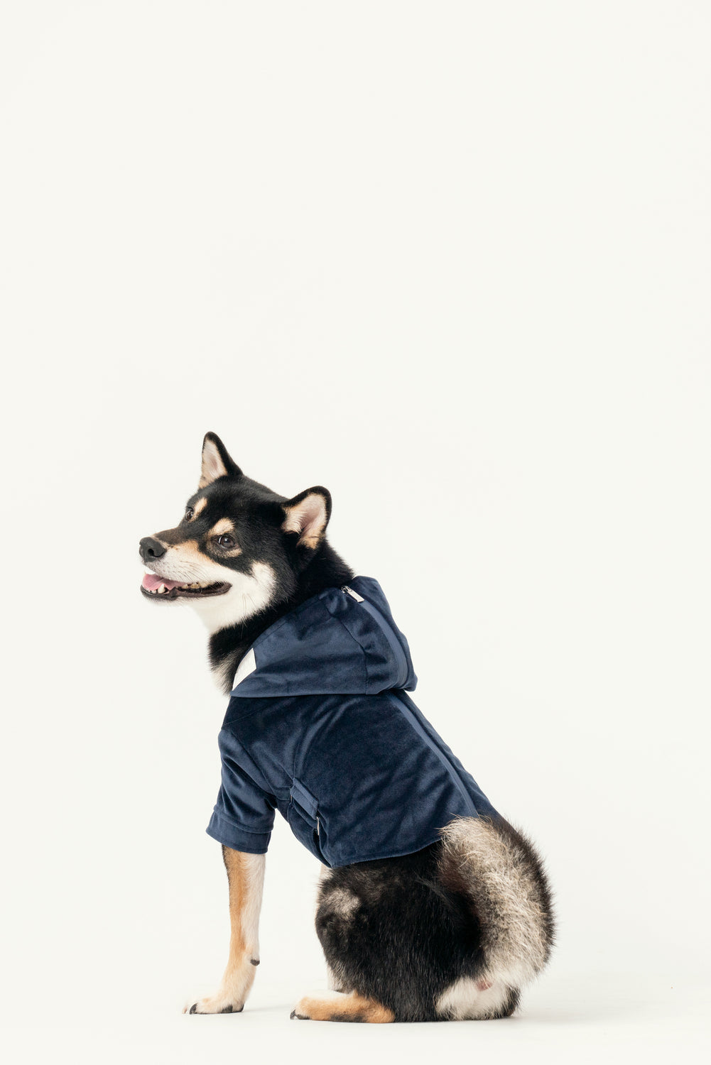 Flannel Pet Jacket with Adjustable Fit – Dark Burgundy or Midnight Blue
