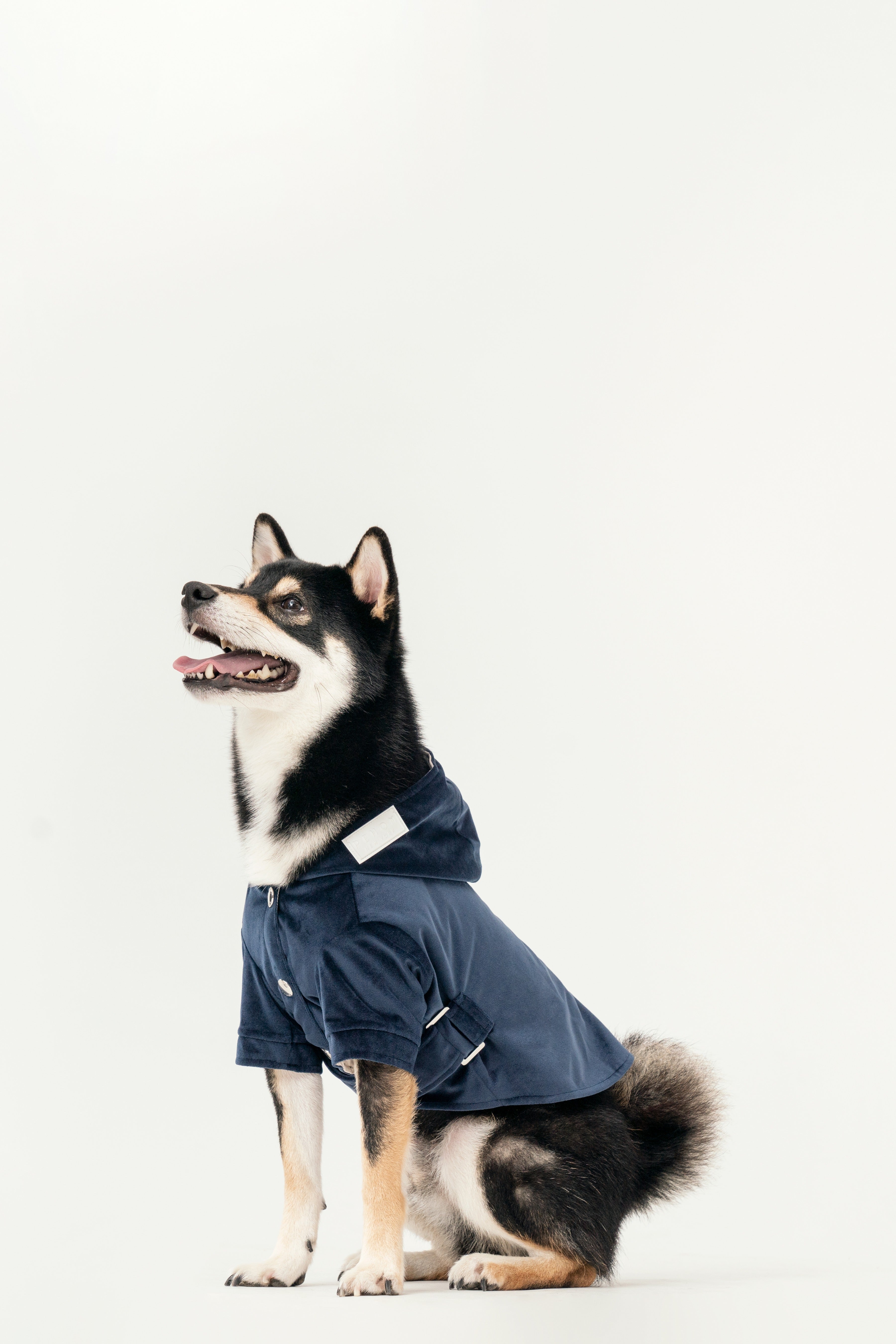 Flannel Pet Jacket with Adjustable Fit – Dark Burgundy or Midnight Blue