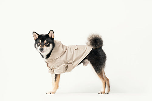Water-Repellent Dog Jacket with Adjustable Belt and Back Pocket
