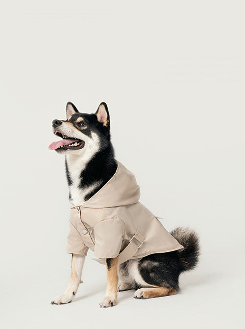 Water-Repellent Dog Jacket with Adjustable Belt and Back Pocket
