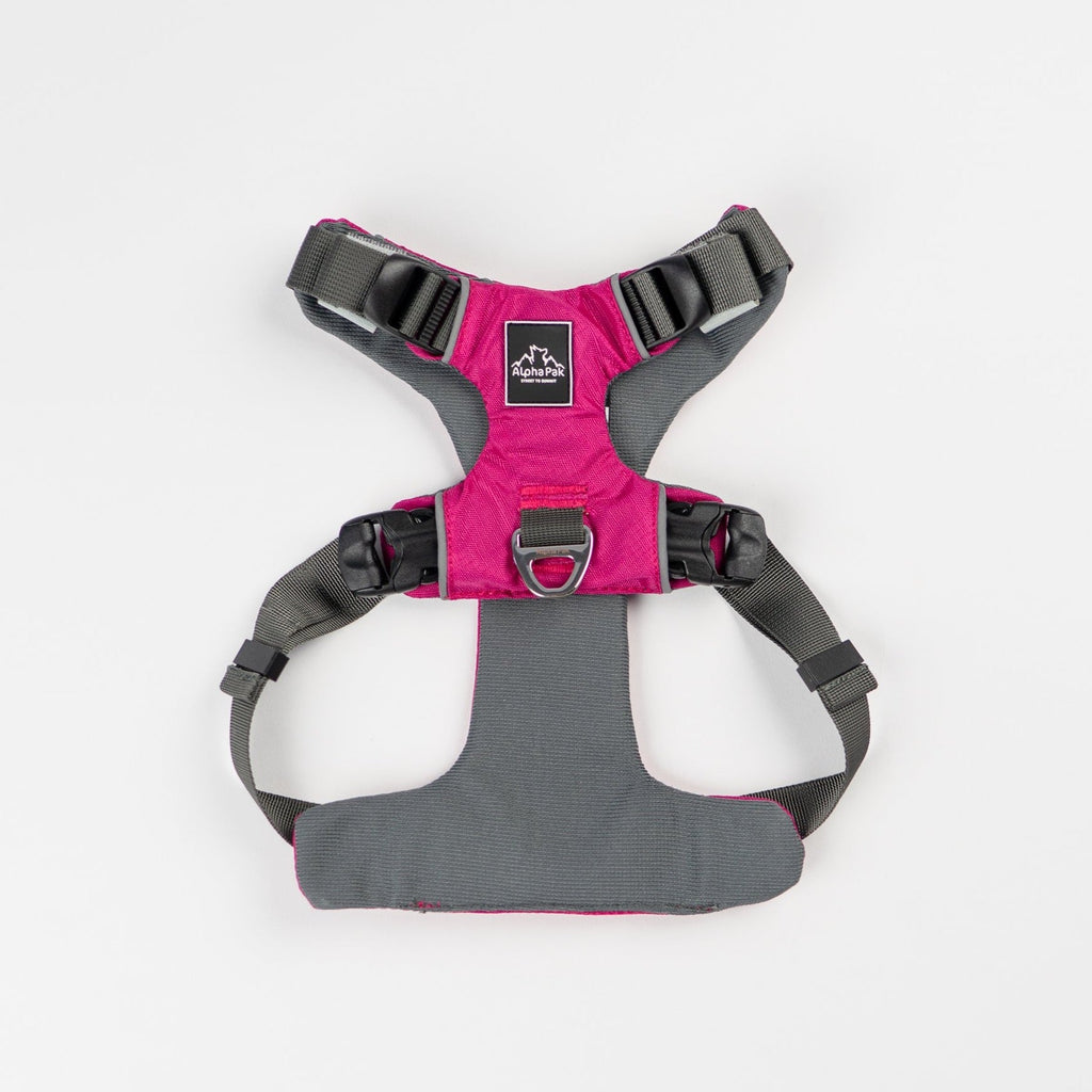 EZ Fit™ Adjustable Dog Harness with Padded Comfort