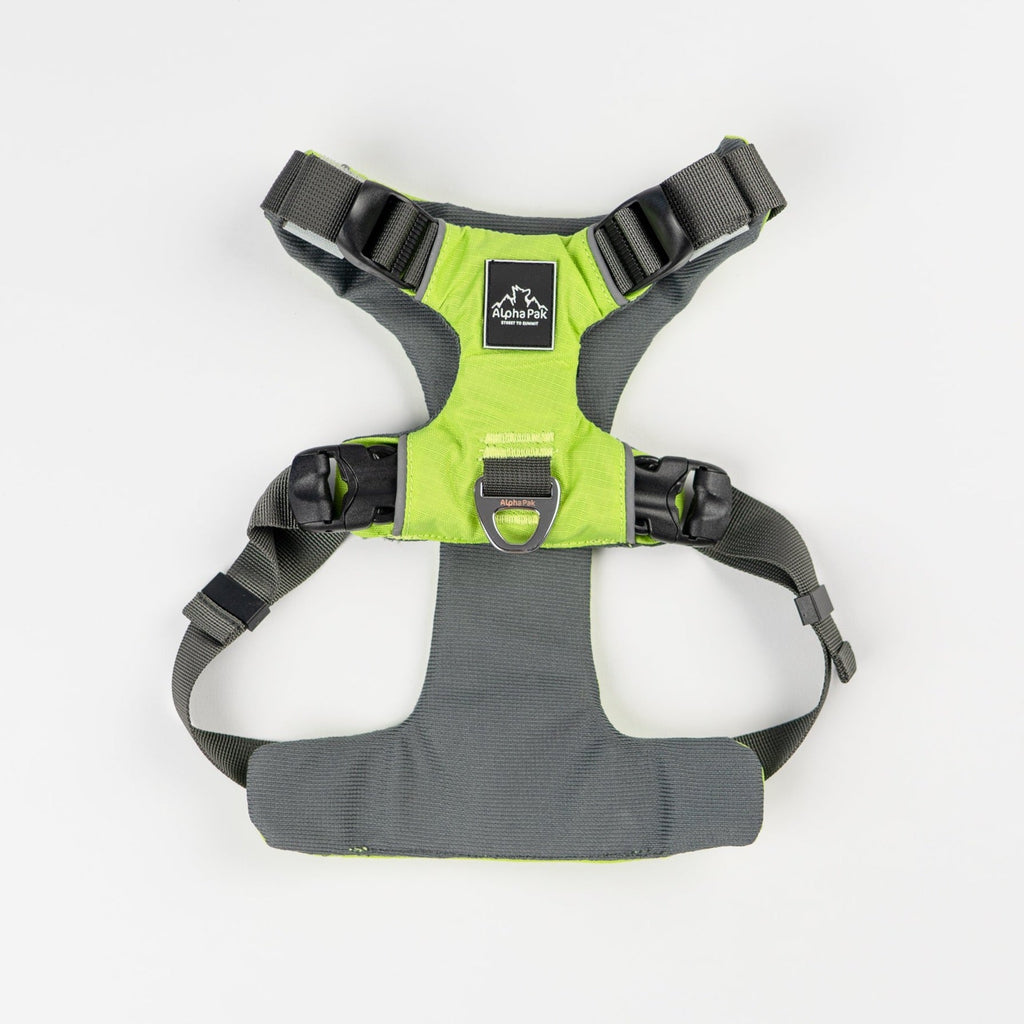 EZ Fit™ Adjustable Dog Harness with Padded Comfort