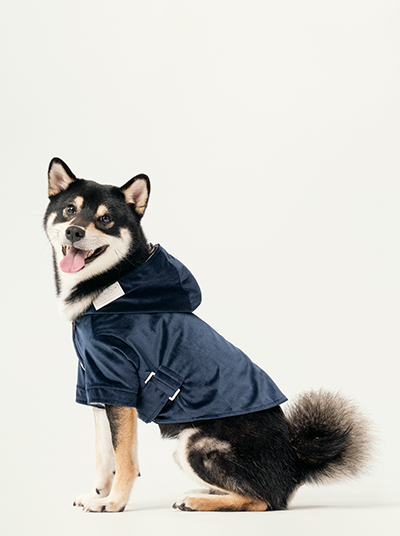 Flannel Pet Jacket with Adjustable Fit – Dark Burgundy or Midnight Blue