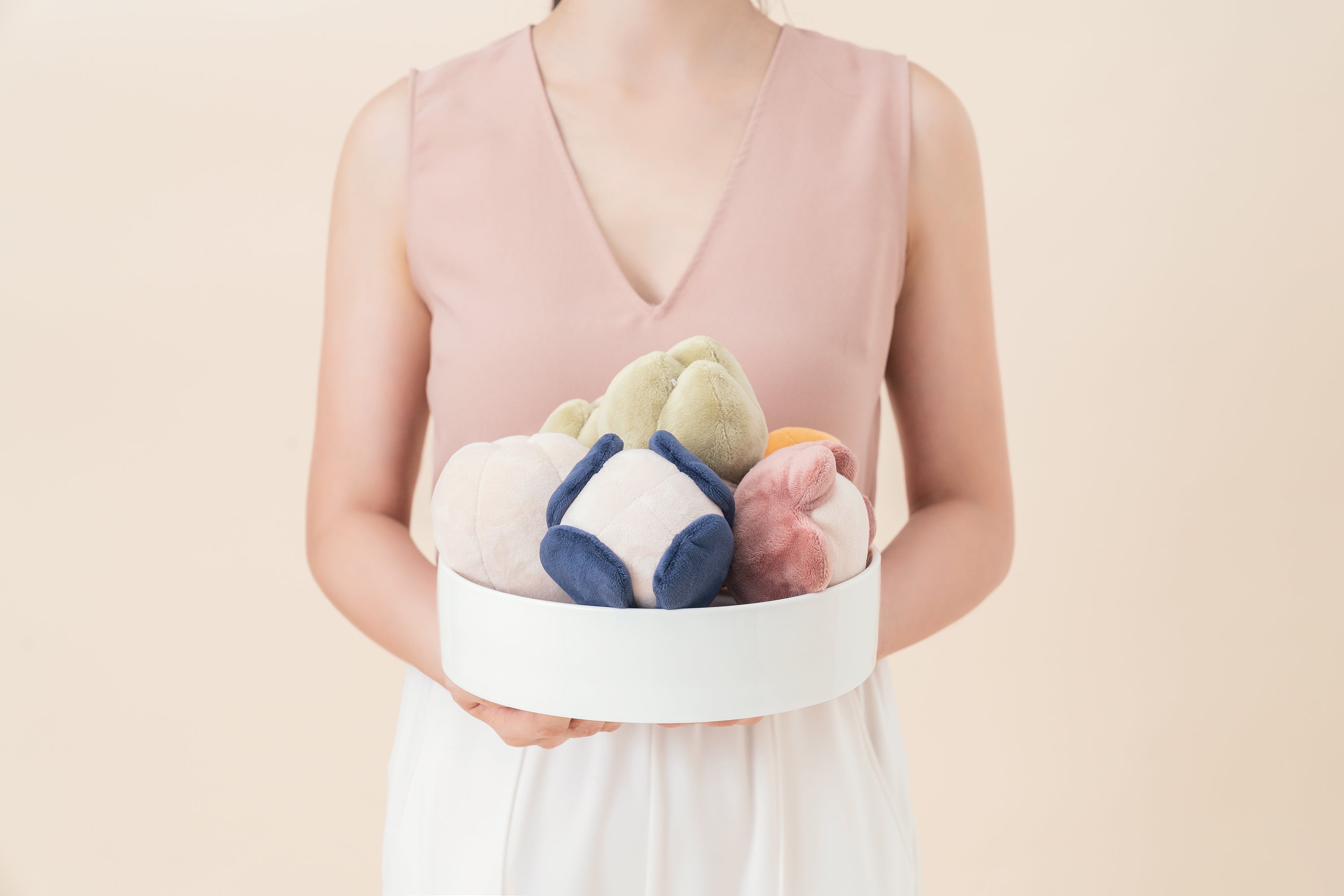 Plush Dog Toy with Squeaker and Hidden Treat Pocket