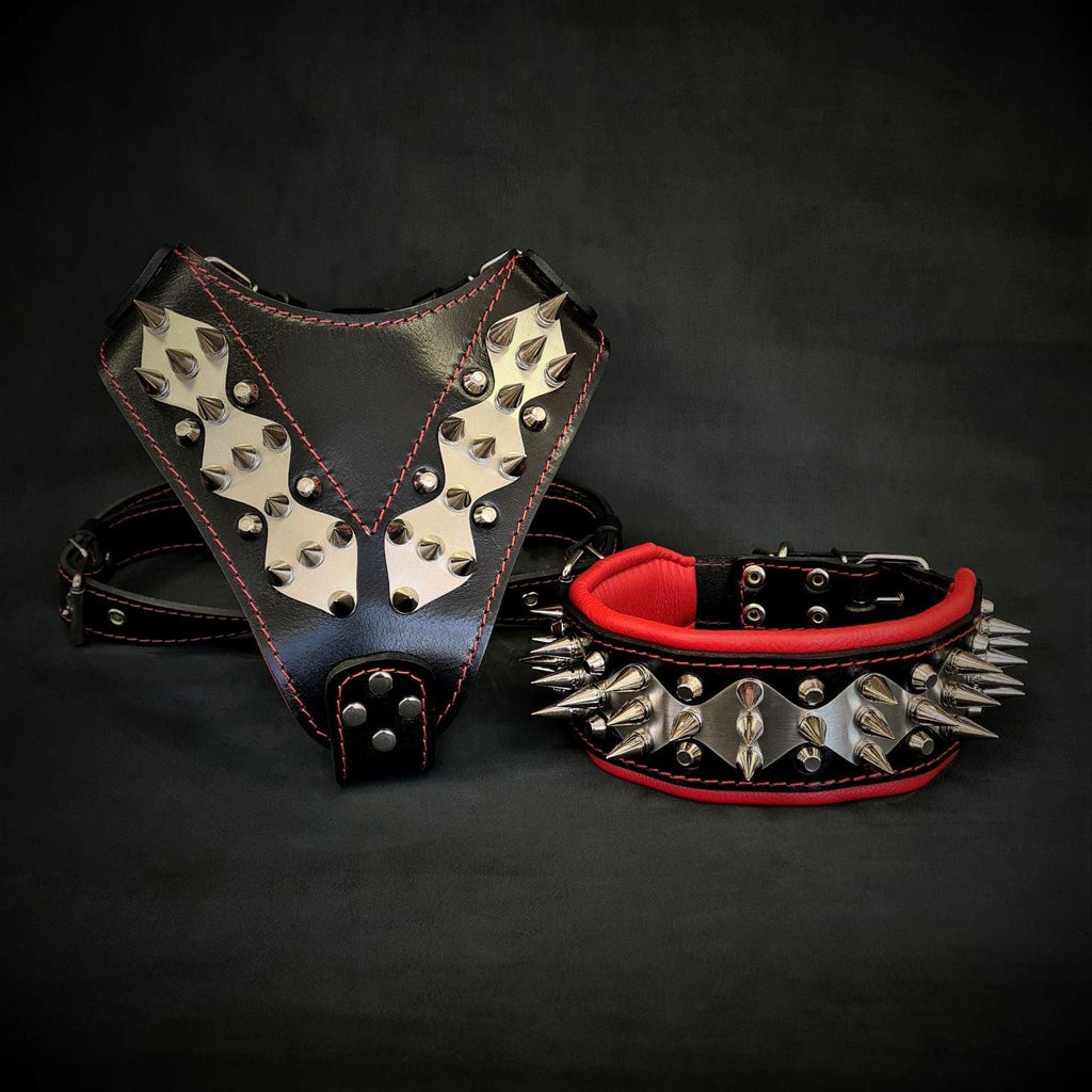 Bestia Steel Collar & Harness Set for Large Breeds, Genuine Leather