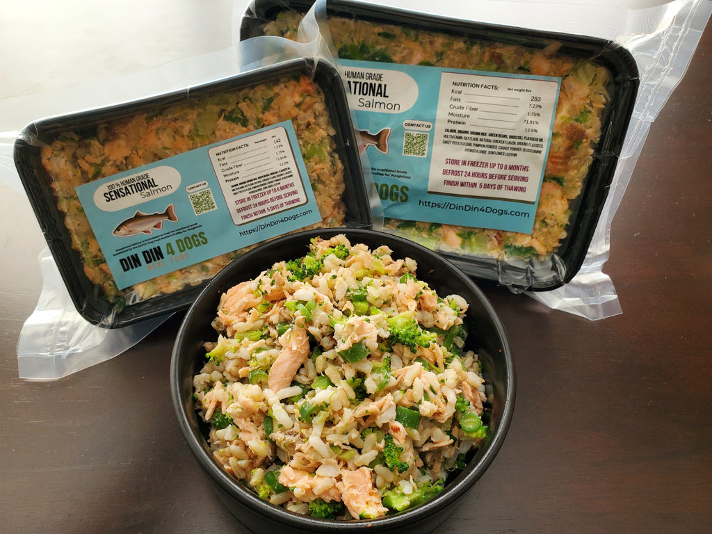Chicken and Salmon Combo Dog Food, 8oz Portion